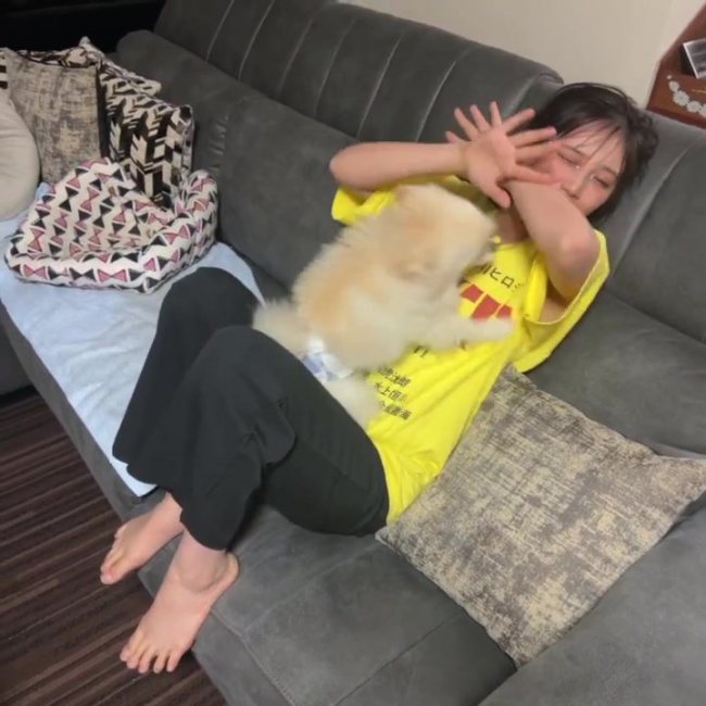 記事を読む